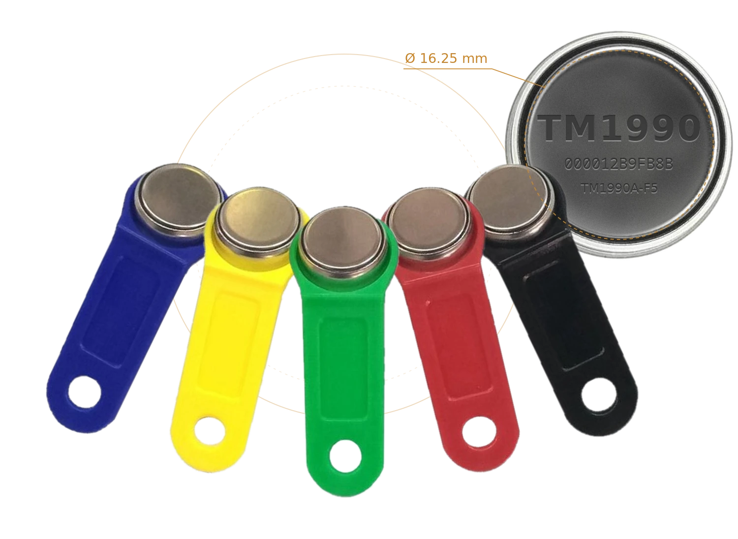 TM1990A colour iButton keys and a laser-marked TM1990 F5 steel can — DS1990A-compatible