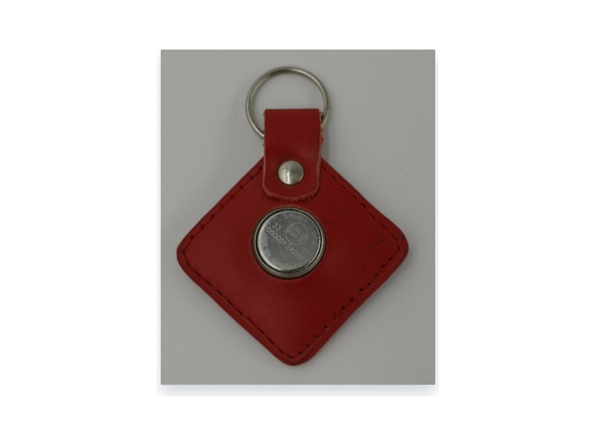 Leather iButton Key Tag — TM1990-LT